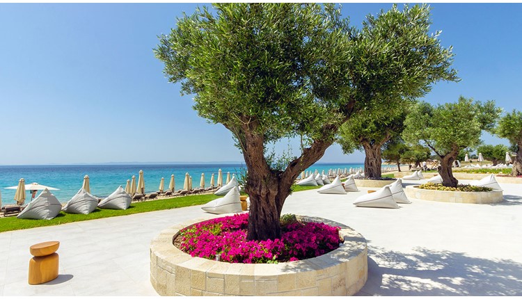 Ammoa Luxury Hotel & Spa, Халкидики